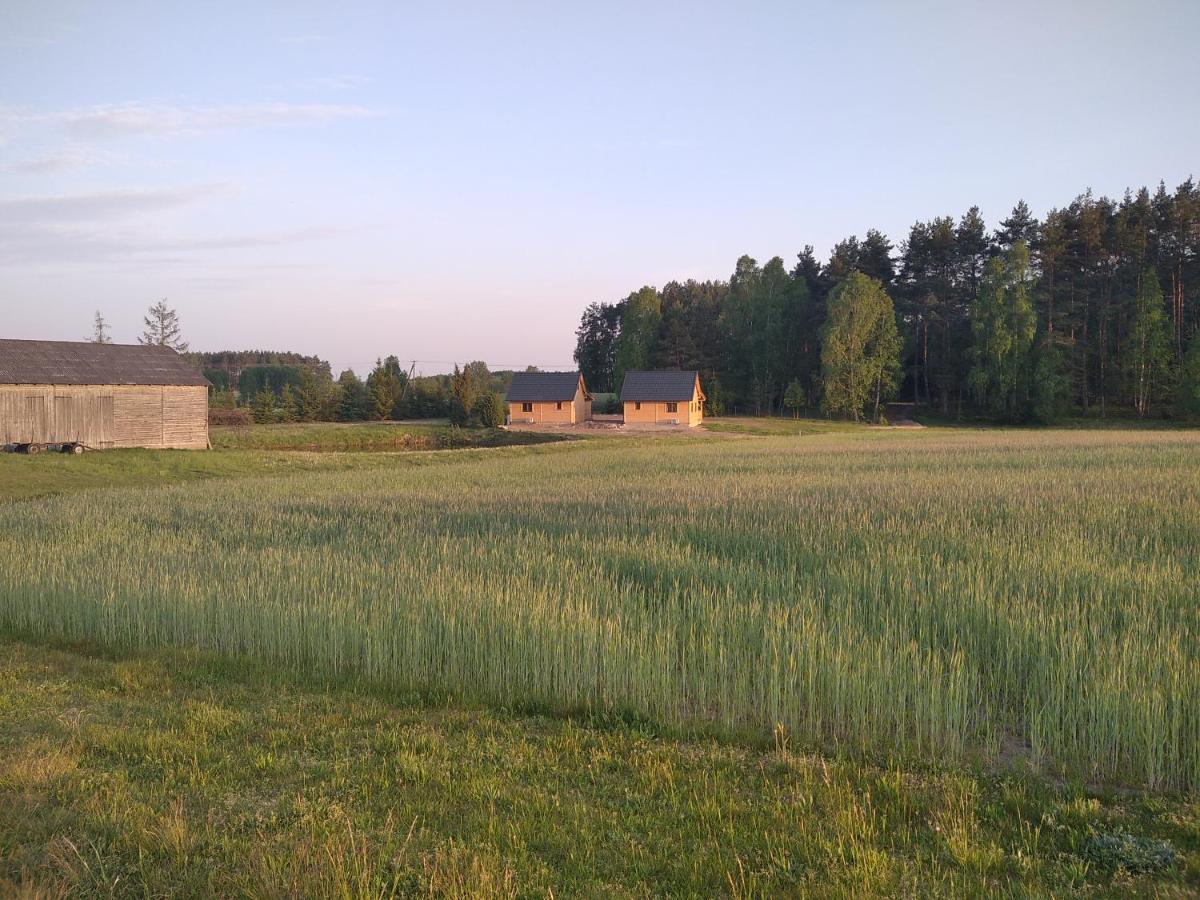 Wczasy Na Kaszubach Vila Gorki  Exterior foto