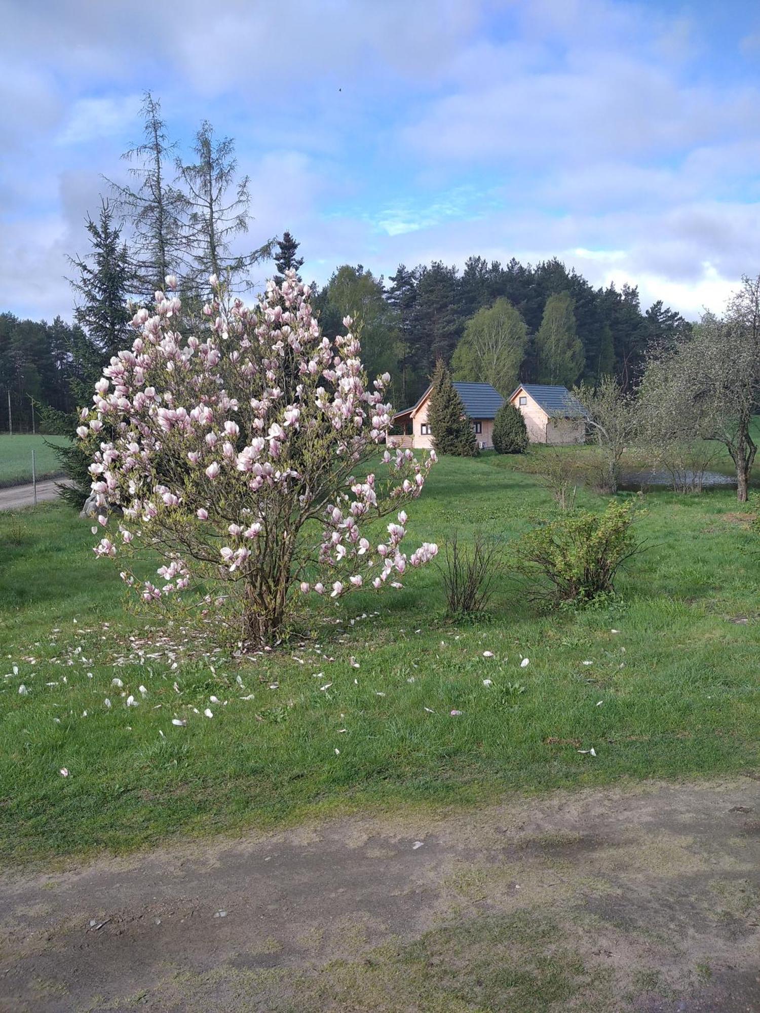 Wczasy Na Kaszubach Vila Gorki  Exterior foto
